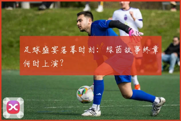 足球盛宴落幕时刻：绿茵故事终章何时上演？